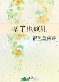 圣子也疯狂